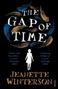 Książka : The Gap of... - Jeanette Winterson