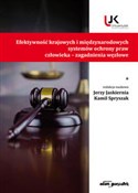 Efektywnoś... - Jerzy (red.)Jaskiernia, Kamil Spryszak -  Polish Bookstore 