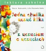 polish book : Jedna chwi... - Marcin Brykczyński, Dańko Lidia Głażewska