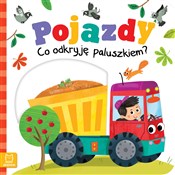 Pojazdy Co... - Grażyna Wasilewicz -  books from Poland