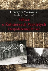 Picture of Szkice o Żołnierzach Wyklętych i współczesnej Polsce