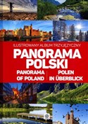 polish book : Panorama p... - Opracowanie Zbiorowe