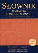 polish book : Słownik wy... - Anna Kupiec Weronika Popławska