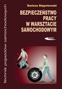 Bezpieczeń... - Dariusz Stępniewski -  foreign books in polish 