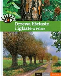 Picture of Drzewa liściaste i iglaste w Polsce Piękne ciekawe wyjątkowe
