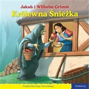 101 Bajek ... - Jakub i Wilhelm Grimm -  foreign books in polish 
