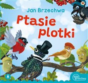Ptasie plo... - Jan Brzechwa, Kazimierz Wasilewski -  books from Poland