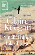 polish book : Small Thin... - Claire Keegan