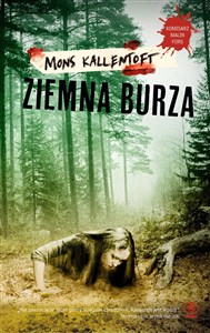 Picture of Ziemna burza