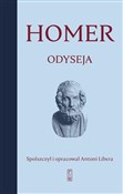 Odyseja - Homer -  books in polish 