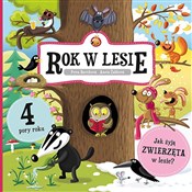 polish book : Rok w lesi... - Petra Bartíková, Aneta Žabková