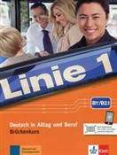 Linie 1 B1... -  foreign books in polish 