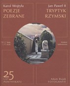 Tryptyk rz... - Wojtyła Karol -  Polish Bookstore 