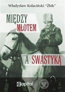 Picture of Między młotem a swastyką