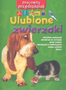 Picture of Pracowity przedszkolak Ulubione zwierzaki