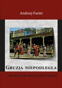 Książka : Gruzja nie... - Andrzej Furier