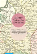 Książka : Między Opi... - Krzysztof Andruczyk