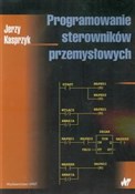 Polska książka : Programowa... - Jerzy Kasprzyk