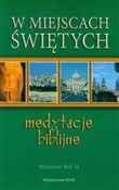 W miejscac... - Stanisław Biel -  books from Poland