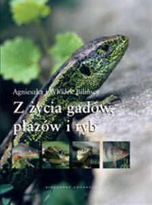Picture of Z życia gadów płazów i ryb