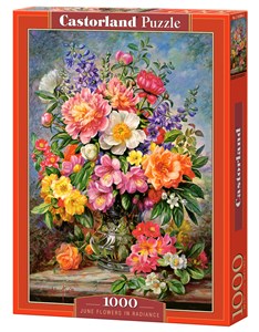 Picture of Puzzle 1000 June Flowers in Radiance C-103904