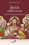 Książka : Jezus czek... - Piotr Wołochowicz