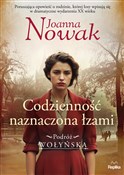 Codziennoś... - Joanna Nowak -  books from Poland