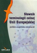 polish book : Polsko-ang... - Piotr Kapusta, Magdalena Chowaniec