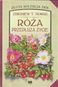 Róża przed... - Zbigniew T. Nowak -  books from Poland