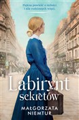 Labirynt s... - Małgorzata Niemtur -  Książka z wysyłką do UK
