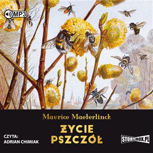 Picture of [Audiobook] CD MP3 Życie pszczół