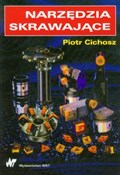 polish book : Narzędzia ... - Piotr Cichosz