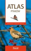 Atlas ptak... - Marcin Karetta -  Polish Bookstore 
