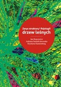 polish book : Zarys stru... - Jan Kopcewicz, Adriana Szmidt-Jaworska, Krystyna Kannenberg