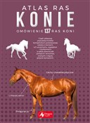 Książka : Konie Atla... - Katarzyna Piechocka