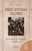 PRZY STUDN... - BRUNO MAGGIONI -  books in polish 