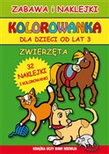 Kolorowank... - Katarzyna Bogucka, Beata Guzowska -  Polish Bookstore 