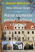Pałace Dol... - Damian Dąbrowski -  books from Poland