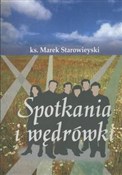 Spotkania ... - Marek Starowieyski -  foreign books in polish 