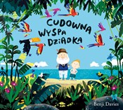 Polska książka : Cudowna wy... - Davies Benji