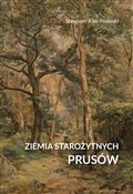 Polska książka : Ziemia sta... - Sławomir Klec-Pilewski