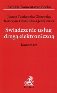 Picture of Świadczenie usług drogą elekroniczną