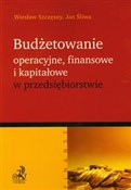 Książka : Budżetowan... - Wiesław Szczęsny, Jan Śliwa
