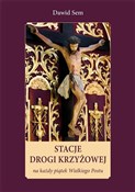Stacje Dro... - Dawid Sem -  Polish Bookstore 