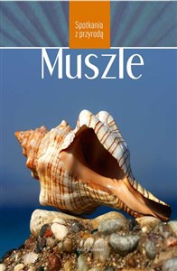 Picture of Muszle