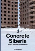 Książka : Concrete S... - Zupagrafika