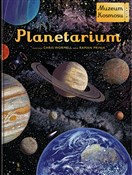 Planetariu... - Raman Prinja -  foreign books in polish 