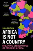 Africa Is ... - Dipo Faloyin -  books from Poland