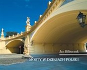 Mosty w dz... - Jan Biliszczuk -  foreign books in polish 