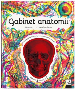Obrazek Gabinet anatomii